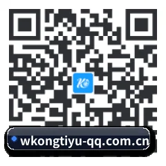 Apple 移动终端版 二维码