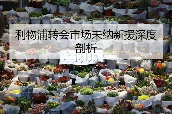利物浦转会市场未纳新援深度剖析